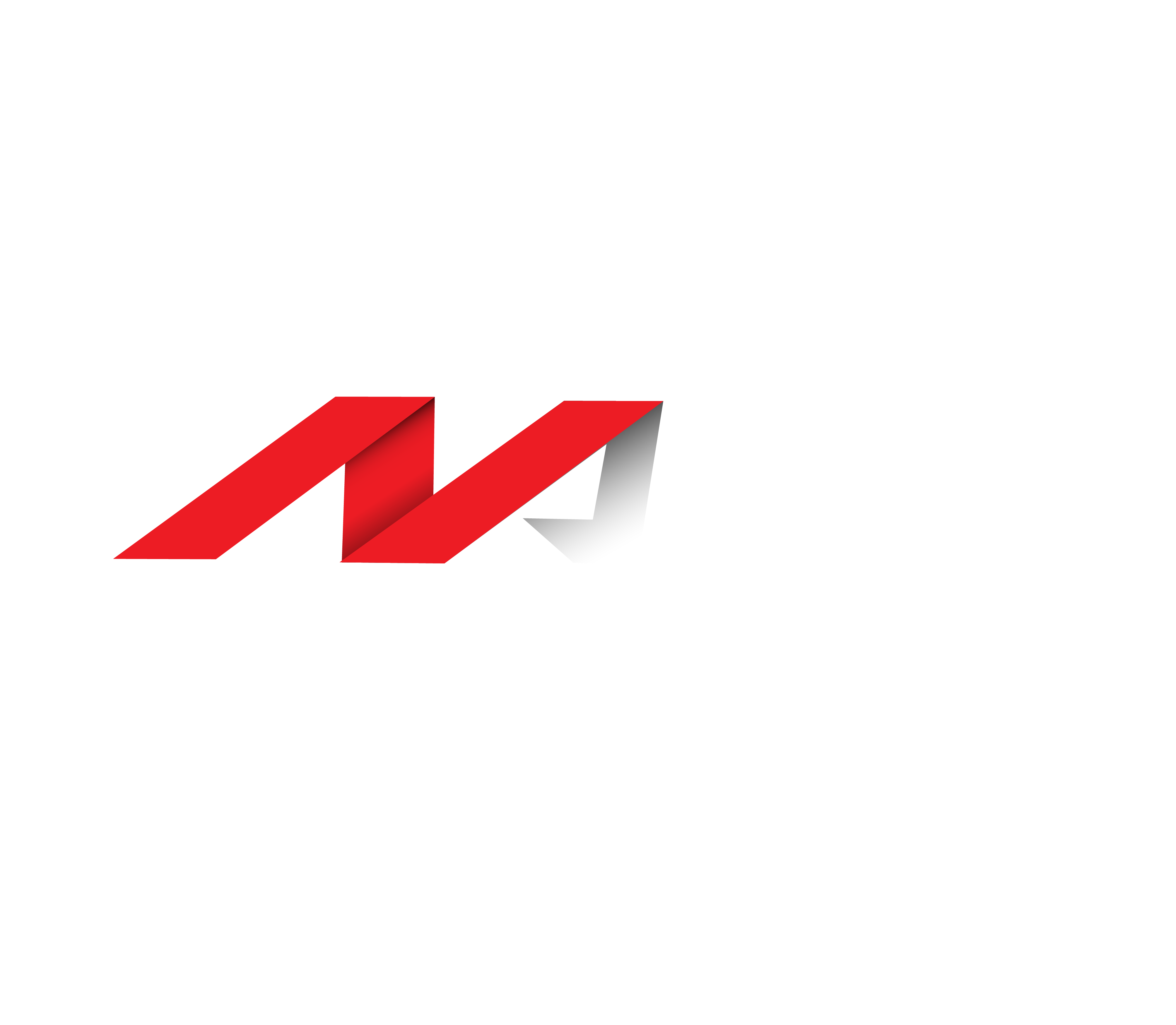 ANA Logo